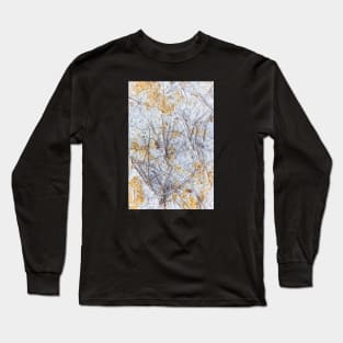 Dry and swollen earth texture Long Sleeve T-Shirt